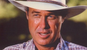 Ray Krebbs interpretado por Steve