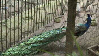 Imagen WOZVK4H5HRAWZGEJOVRJ477RB4