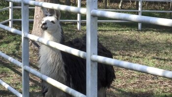 Imagen 6MSHYUU57ZGWTIG2NT3JU3F23Y