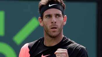 Juan Martín Del Potro (AP)