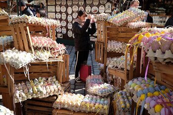 Cientos de huevos esperan para