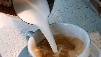 Las empresas estarán obligadas a