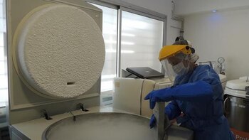 La criopreservación de células madre