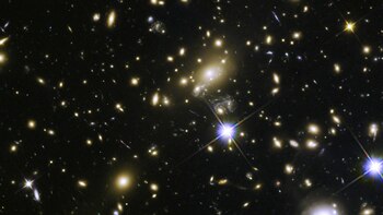 Este hallazgo es particularmente interesante