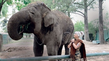 Daniela Cardone junto a la