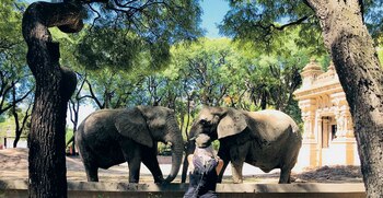 Daniela Cardone junto a la