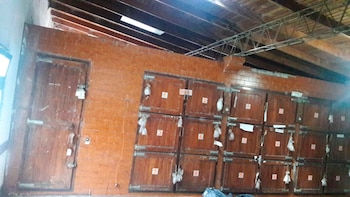 La Justicia confirmó que 89 personas murieron