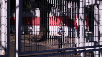 (Augusto Fornaciari)