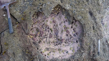 Las marcas fueron dejadas allí hace unos 170 millones de años, según el cálculo de los especialistas (Edinburgh University/Reuters)