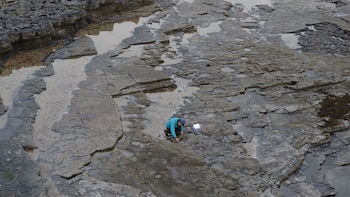 El científico Paige dePolo observa las marcas en Brother’s Point (Shasta Marrero/Universidad de Edimburgo/Reuters)