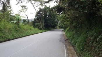 La Cabaña en Manizales, donde fue hallada la pequeña de cuatro años que había sido arrojada a un abismo junto a su madre muerta