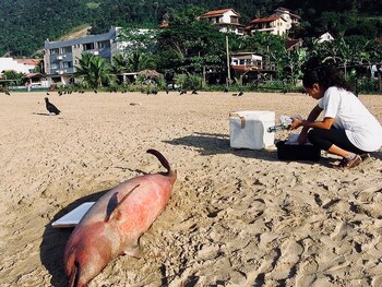 Miembros del Instituto de Biofísica