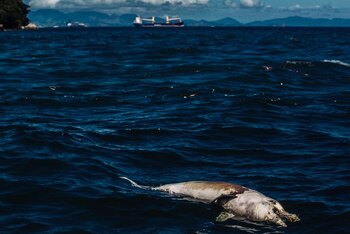 El enorme crecimiento industrial de