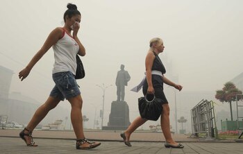 La carga ambiental a la