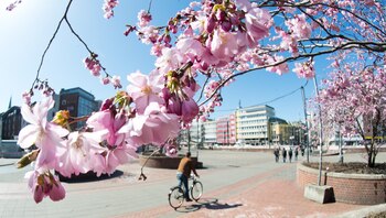 Hannover, Alemania (AFP / DPA