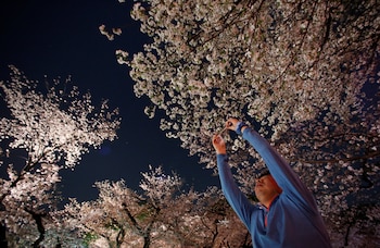 El parque Ueno en Tokio