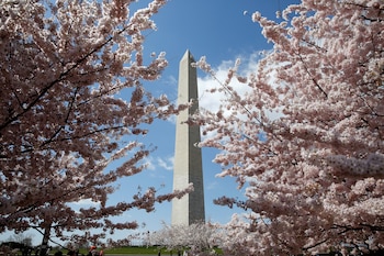 (Reuters/ Joshua Roberts)