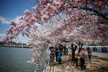 Washington (Reuters/Joshua Roberts)