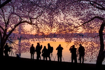 Fotógrafos en el lago Tidal