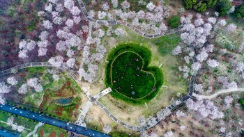 Nanchang, China (Imaginechina, vía AP