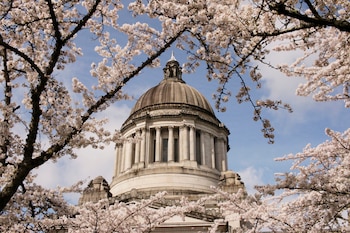 El Capitolio en Washington (AP /Rachel