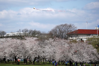 (Reuters/Joshua Roberts)