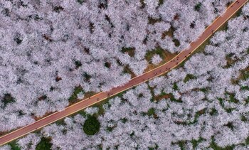 Guiyang, China (Imaginechina, vía AP