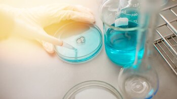 Los medicamentos biológicos son aquellos