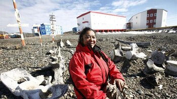 El estudio encontró que a pesar de los desafíos a la continuidad genética que entrañaba la colonización europea, los grupos actuales de Kawéskar y Yámana mantienen una gran afinidad genética con los individuos antiguos