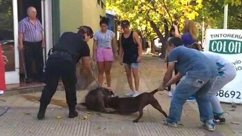 El momento en el que