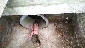 La fotografía tomada por Cornie