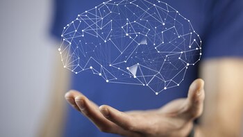 El nuevo complejo de INECO-CITES