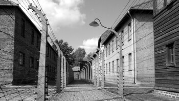 Los alambres de púa. Nadie