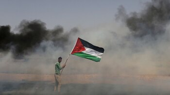 Un manifestante palestino sostiene su