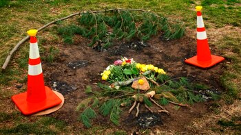 El lugar donde Buckel se