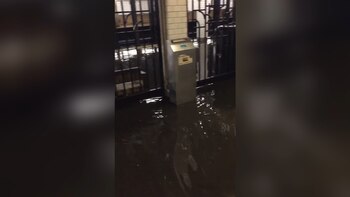 El agua cubrió todo en