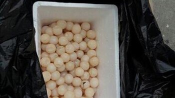 Parte de un cargamento decomisado