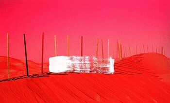 Muestra de Lisandro Aloi