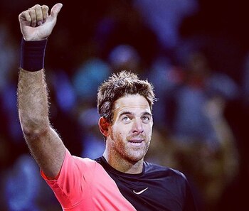 Juan Martín del Potro se