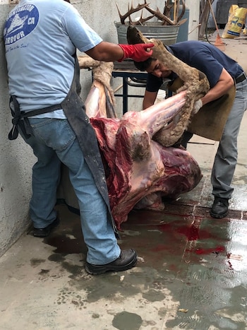 Proceso de copinado.