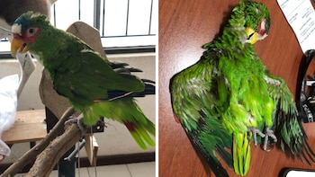 Fotografías cortesía de José Alberto