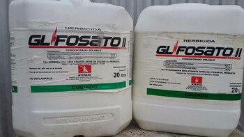 Además de Gualeguaychú, otros municipios