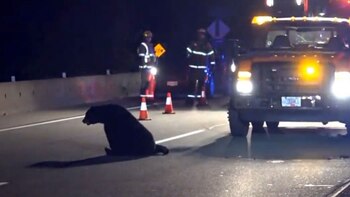 Los policías estuvieron varios minutos