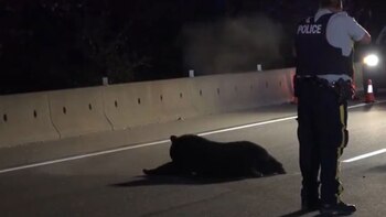 Un oficial le disparó varias