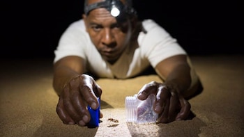 Desde la firma del acuerdo