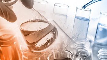 Todo parece indicar que hoy