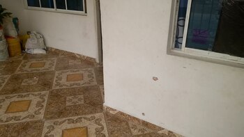 Imagen SJXUCUDXBNGFXEA6IBOFM56MW4