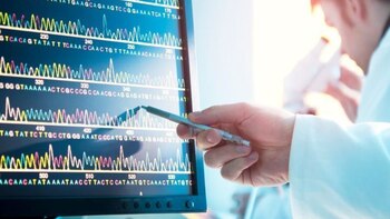 El software ayuda a resolver