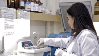 El producto es el resultado