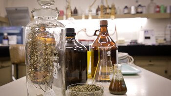 La acción terapéutica del revolucionario